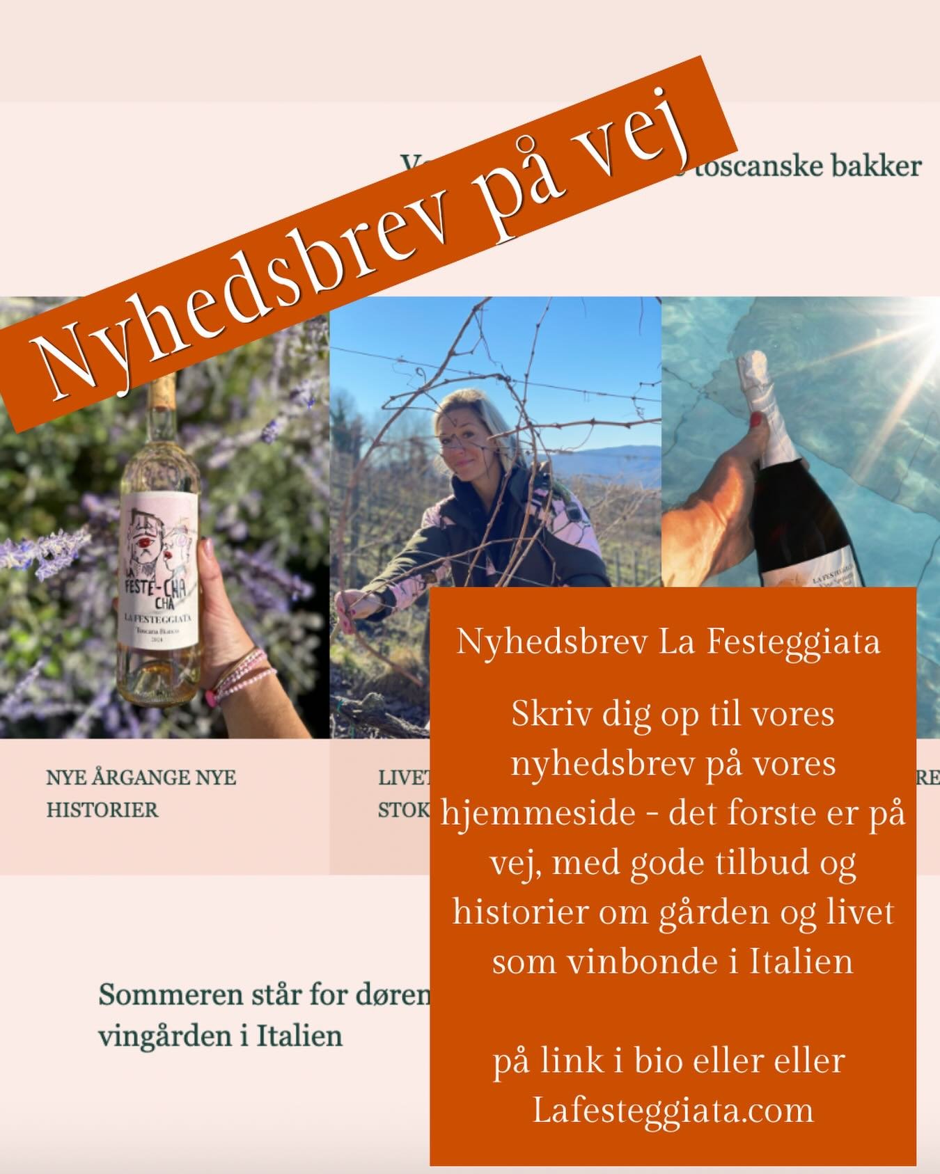 S&aring; er der snart nyheder fra La Festeggiata med historier om vores nyeste vine, livet som vinbonde og selvf&oslash;lgelig gode tilbud ❤️🎈🌈

Skriv dig op p&aring; vores hjemmeside - du skal lige scrolle ned i bunden - enten p&aring; lafesteggia