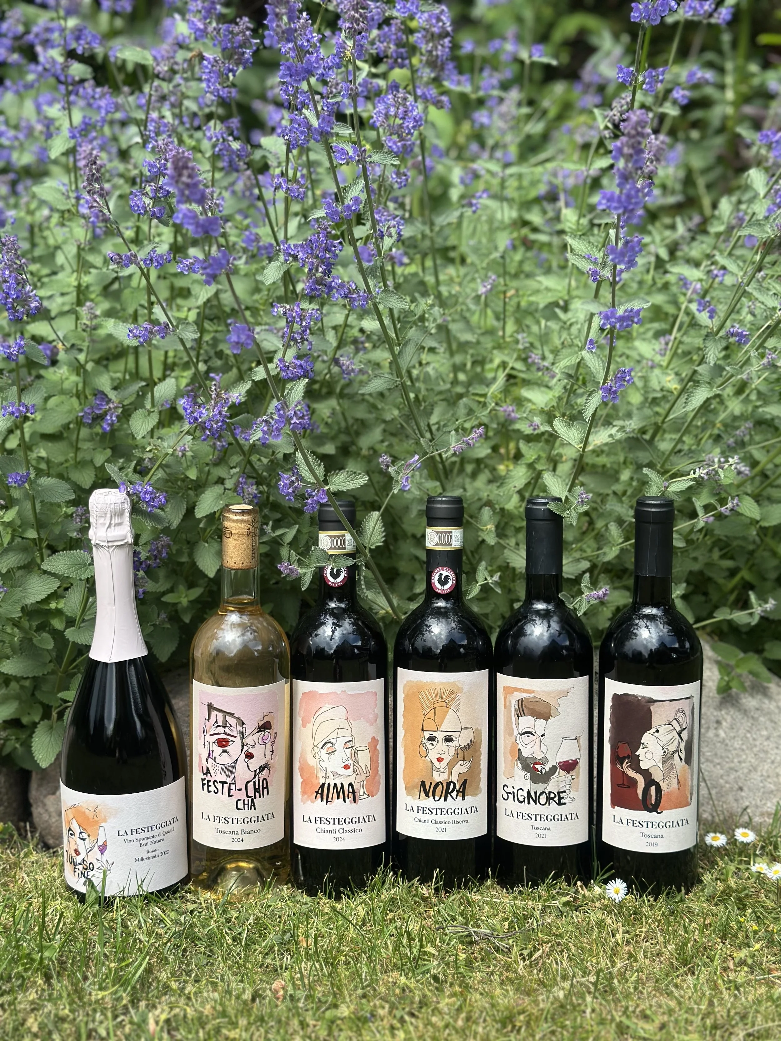 Summer offer Taste of the Family