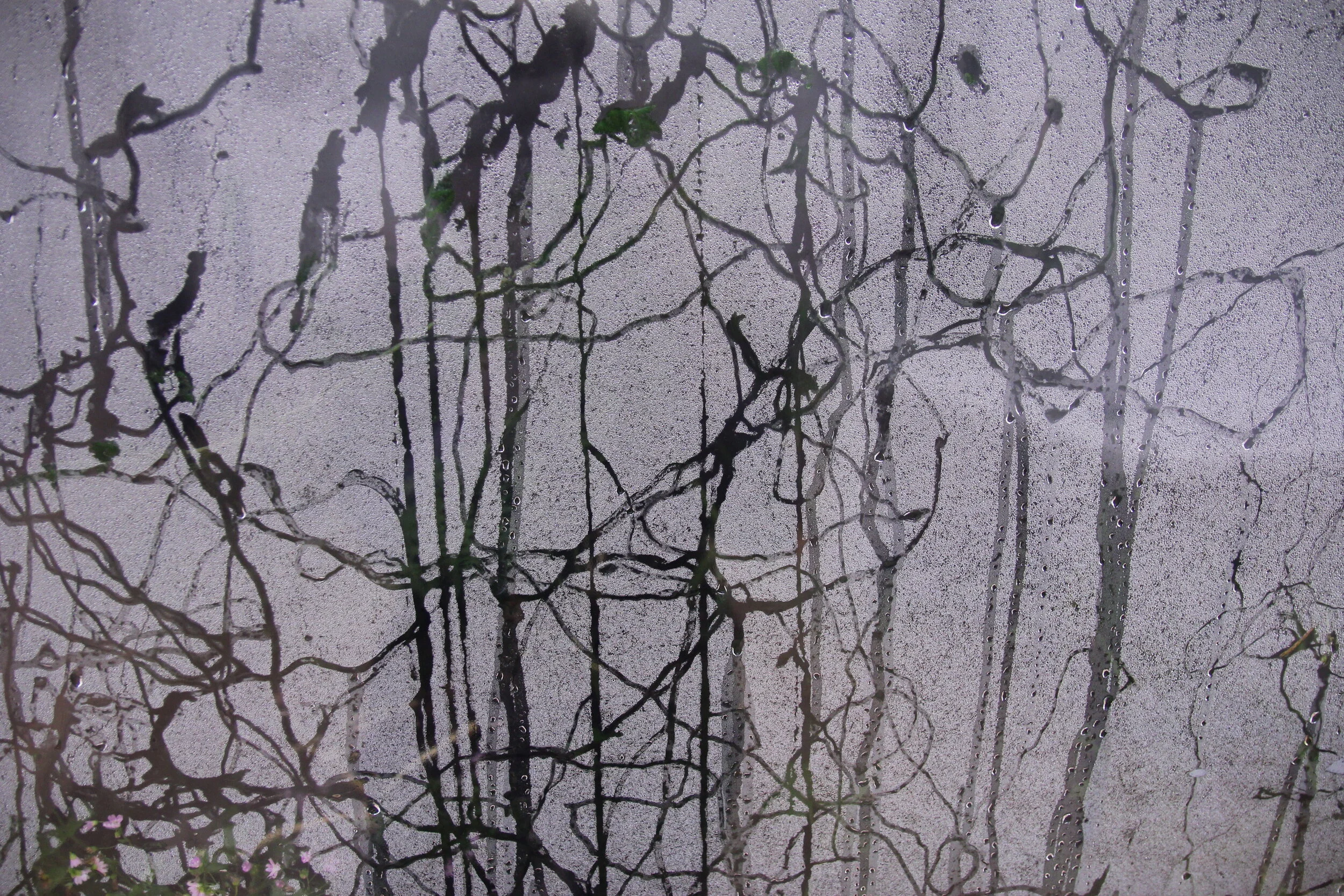 Trails, Tracks, 2015