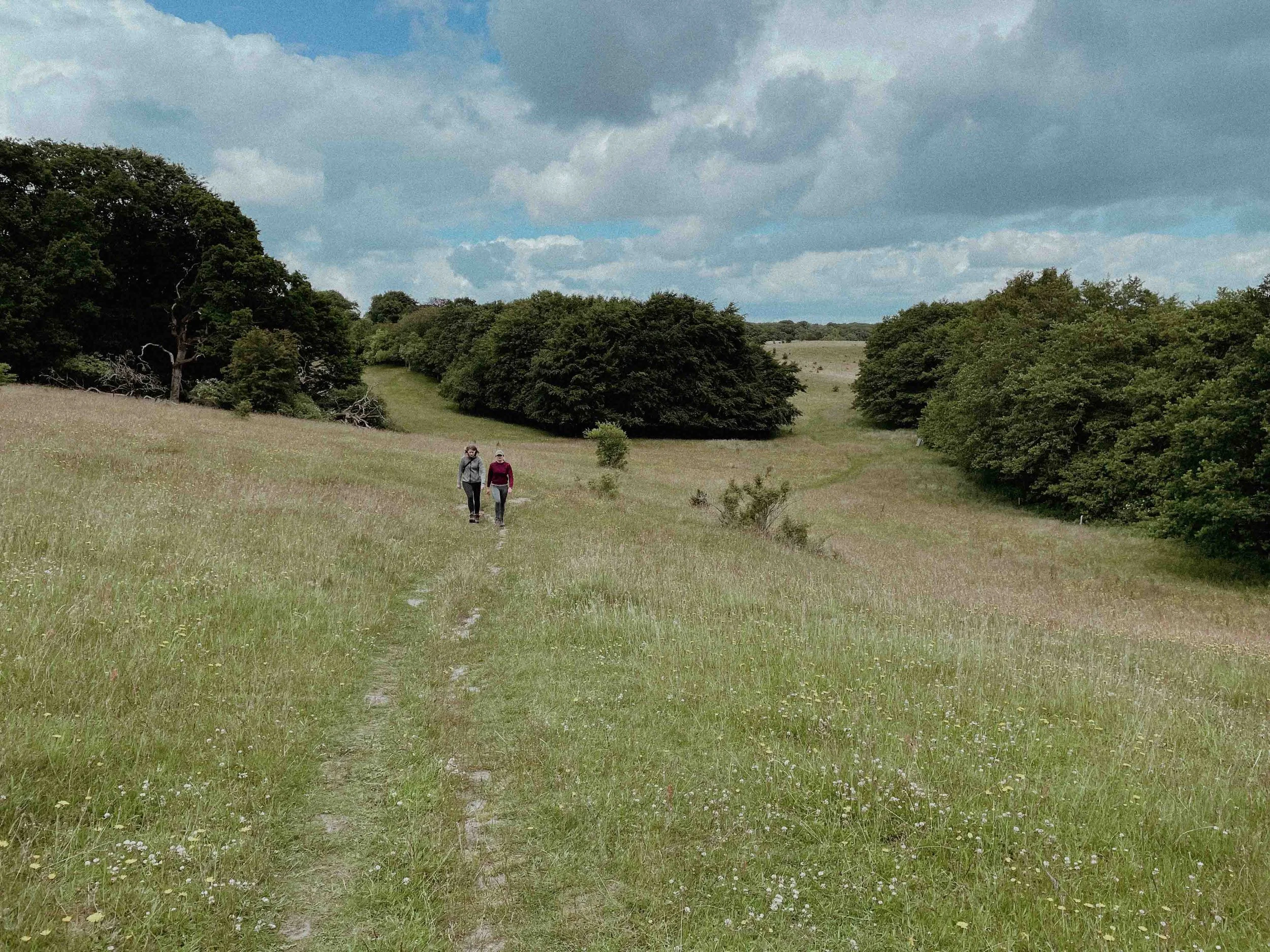 VANDREGUIDE Hald Sø Rundt - 18 km dagstur ved Viborg — Jesper Hiker
