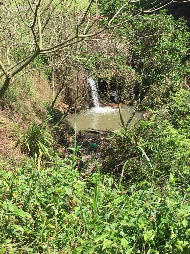 WhatsApp Image 2022-03-24 at 10.18.04 AM (3).jpeg