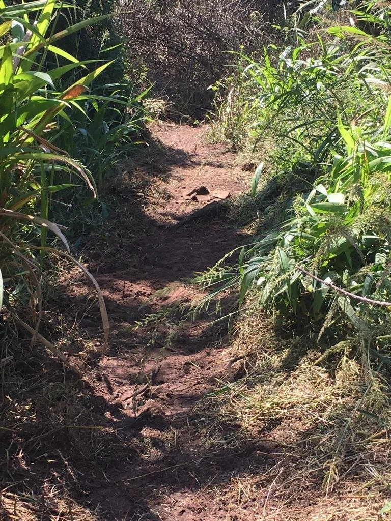 WhatsApp Image 2022-03-24 at 10.18.04 AM (4).jpeg