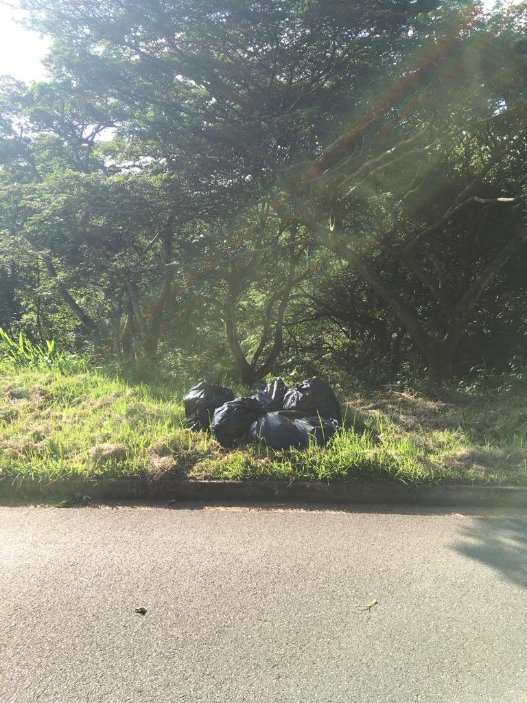 WhatsApp Image 2022-03-24 at 10.18.04 AM (5).jpeg