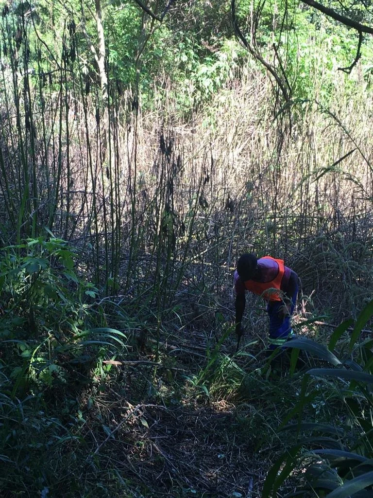 WhatsApp Image 2022-03-24 at 10.18.04 AM.jpeg