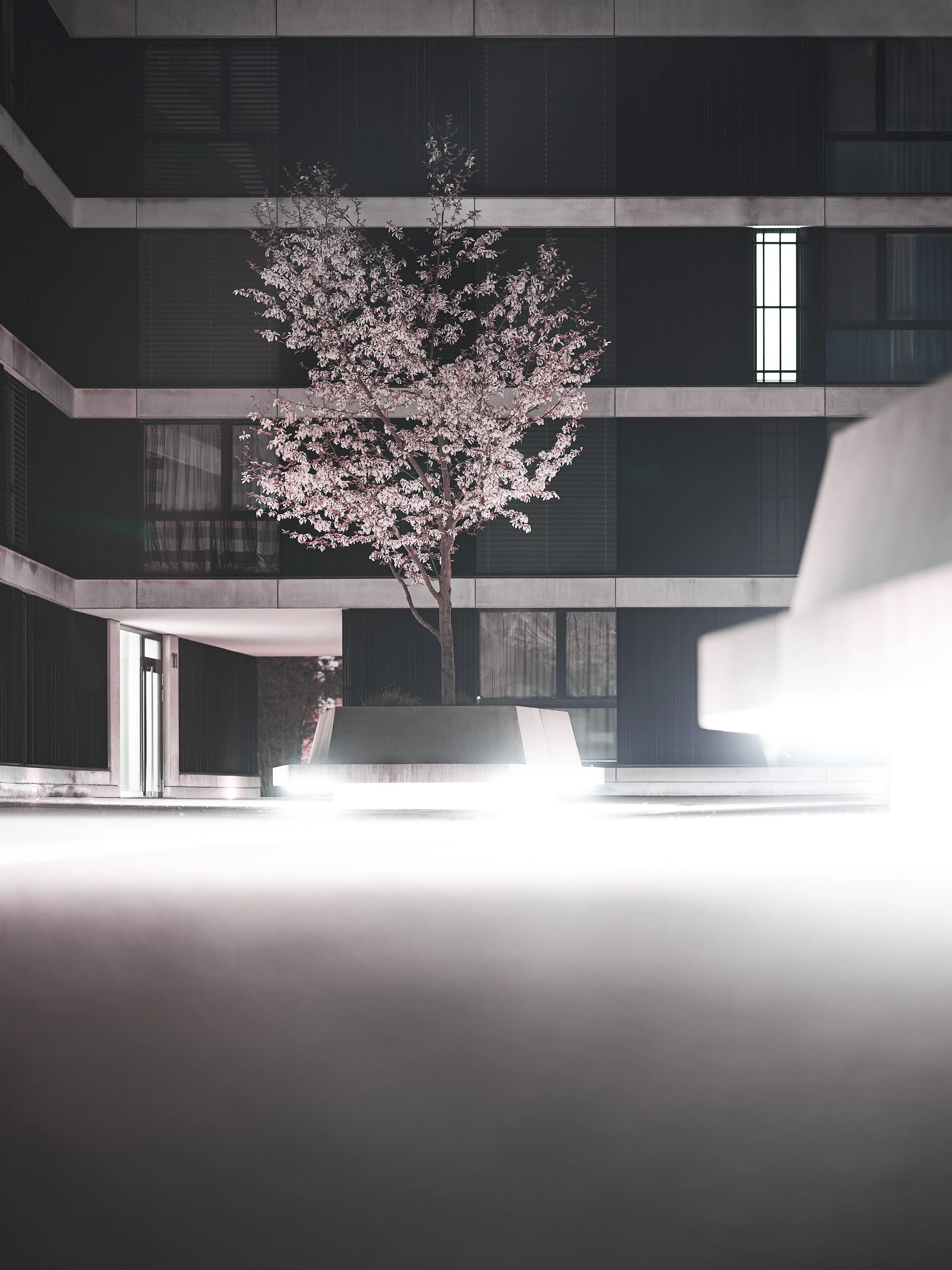 T R A N S C E N D E N C E . I (Copy)