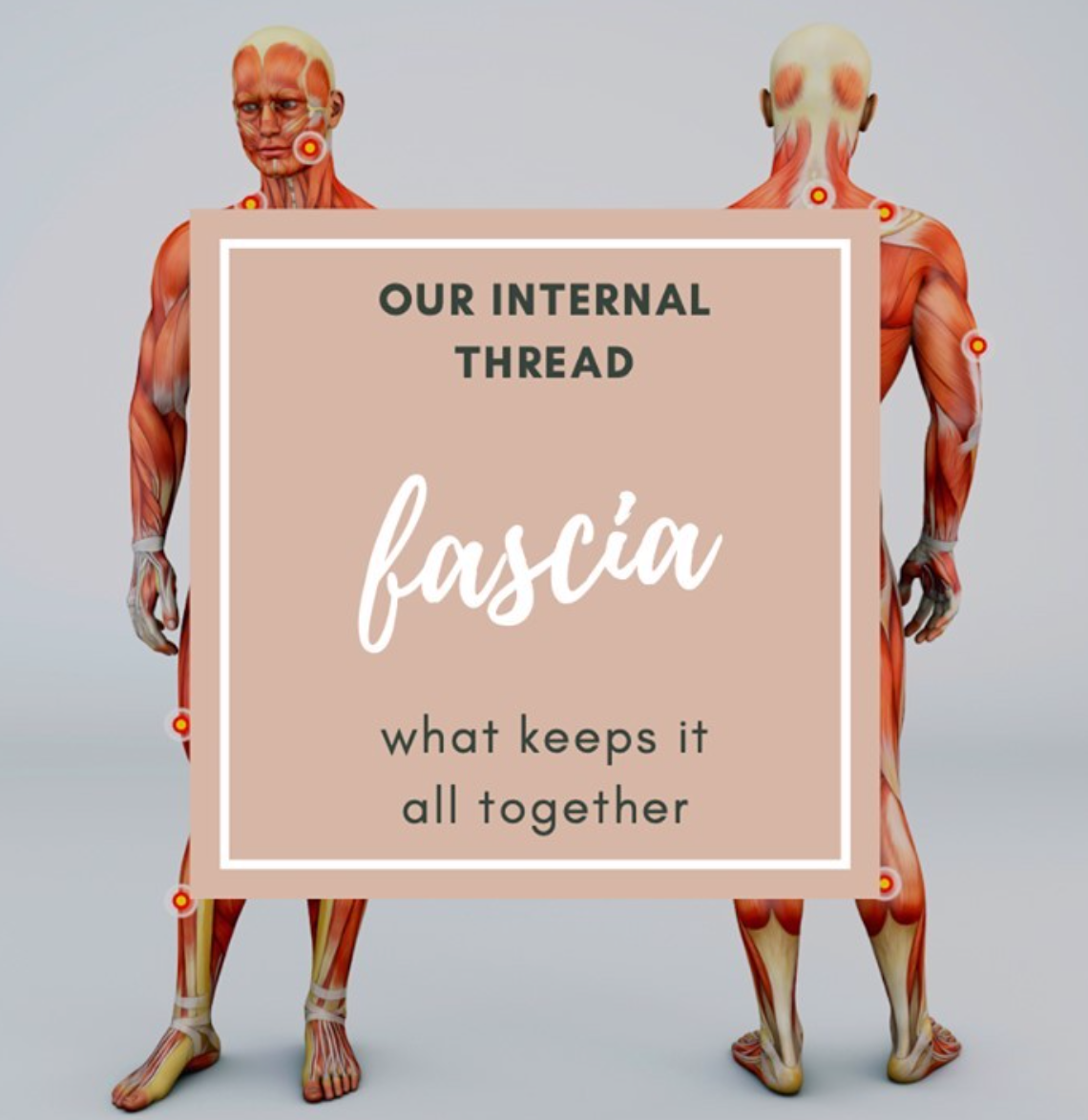 Unraveling Fascia.