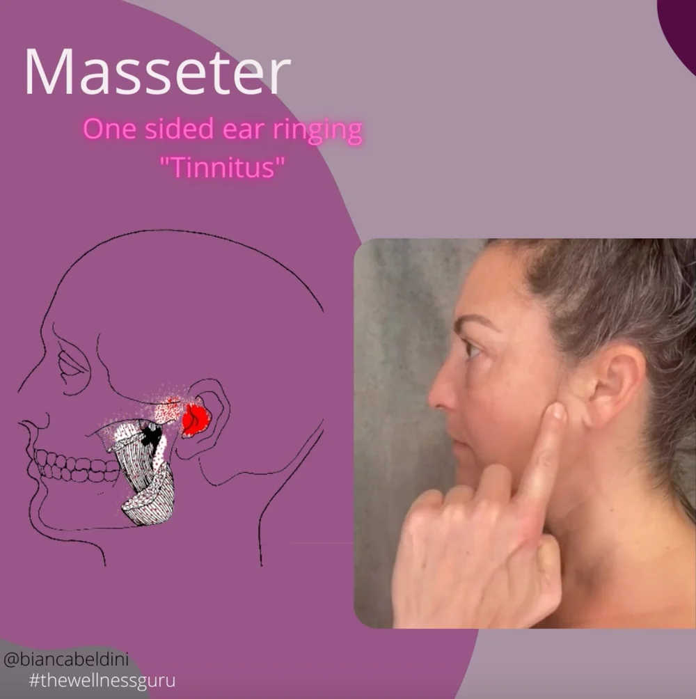 EARS RINGING? TURN DOWN THE VOLUME!  Wellness Blog  Sundala Wellness