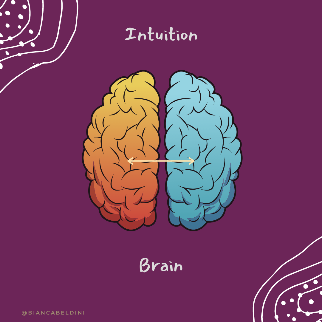 intuition brain sundala nyack.png