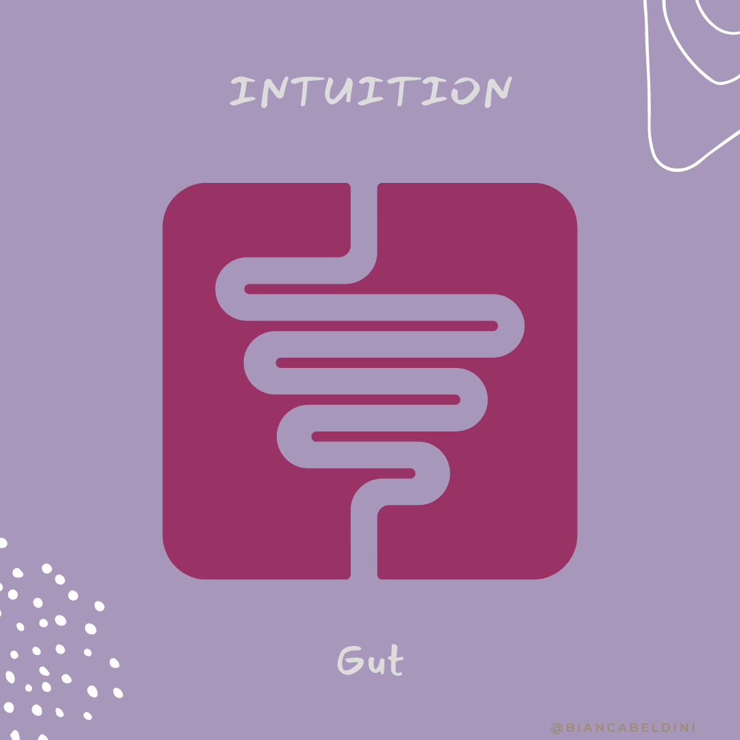 intuition gut sundala nyack.png