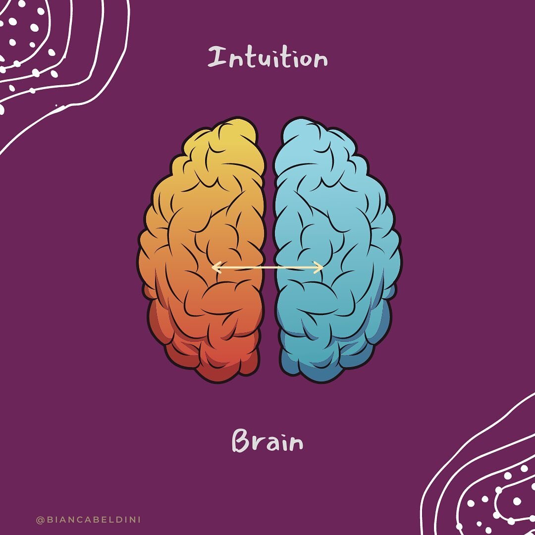 INTUITION: FROM SPIDEY SENSE TO THE GUT-BRAIN AXIS

Did you ever just &ldquo;know.&rdquo; You can&rsquo;t explain it, you can&rsquo;t put your finger on anything, you have no concrete &lsquo;evidence&rsquo;, you just KNOW. We call this intuition, whi