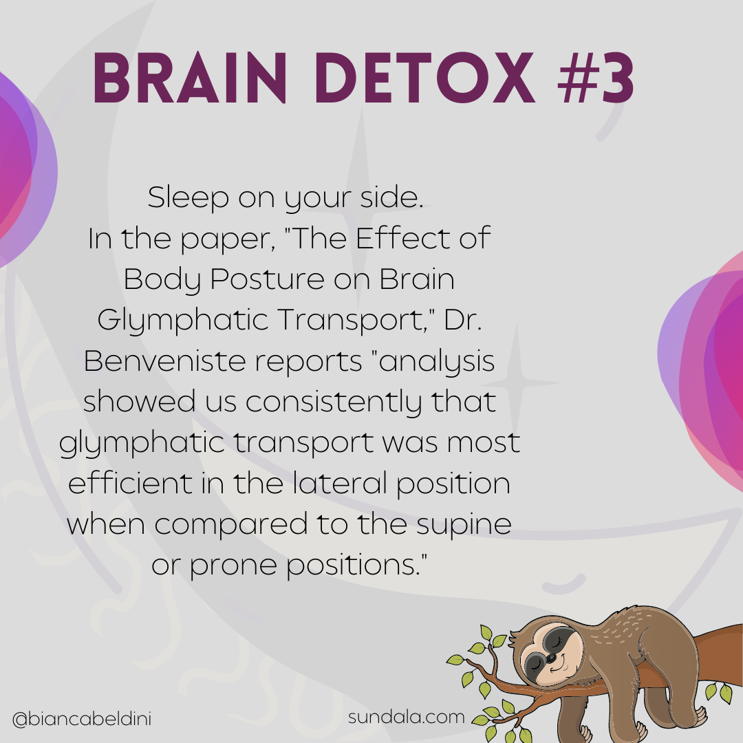 brain detox sundala 3.png