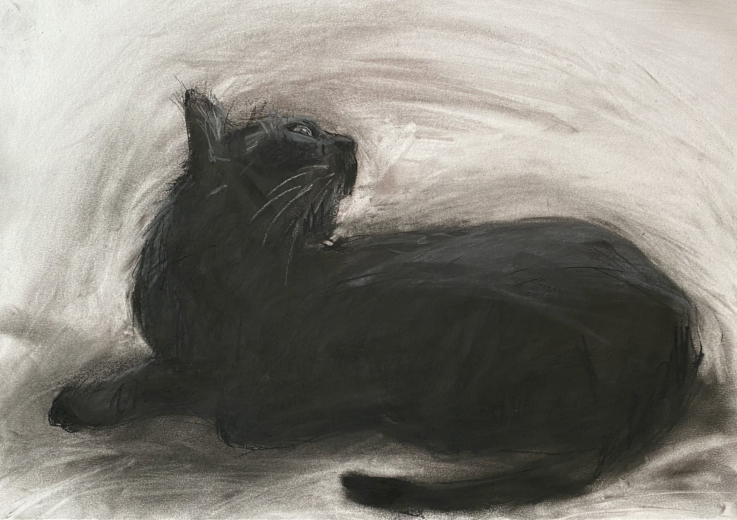 Phoebe, selected for Royal Scottish Academy Annual exhibition 2025. Sold