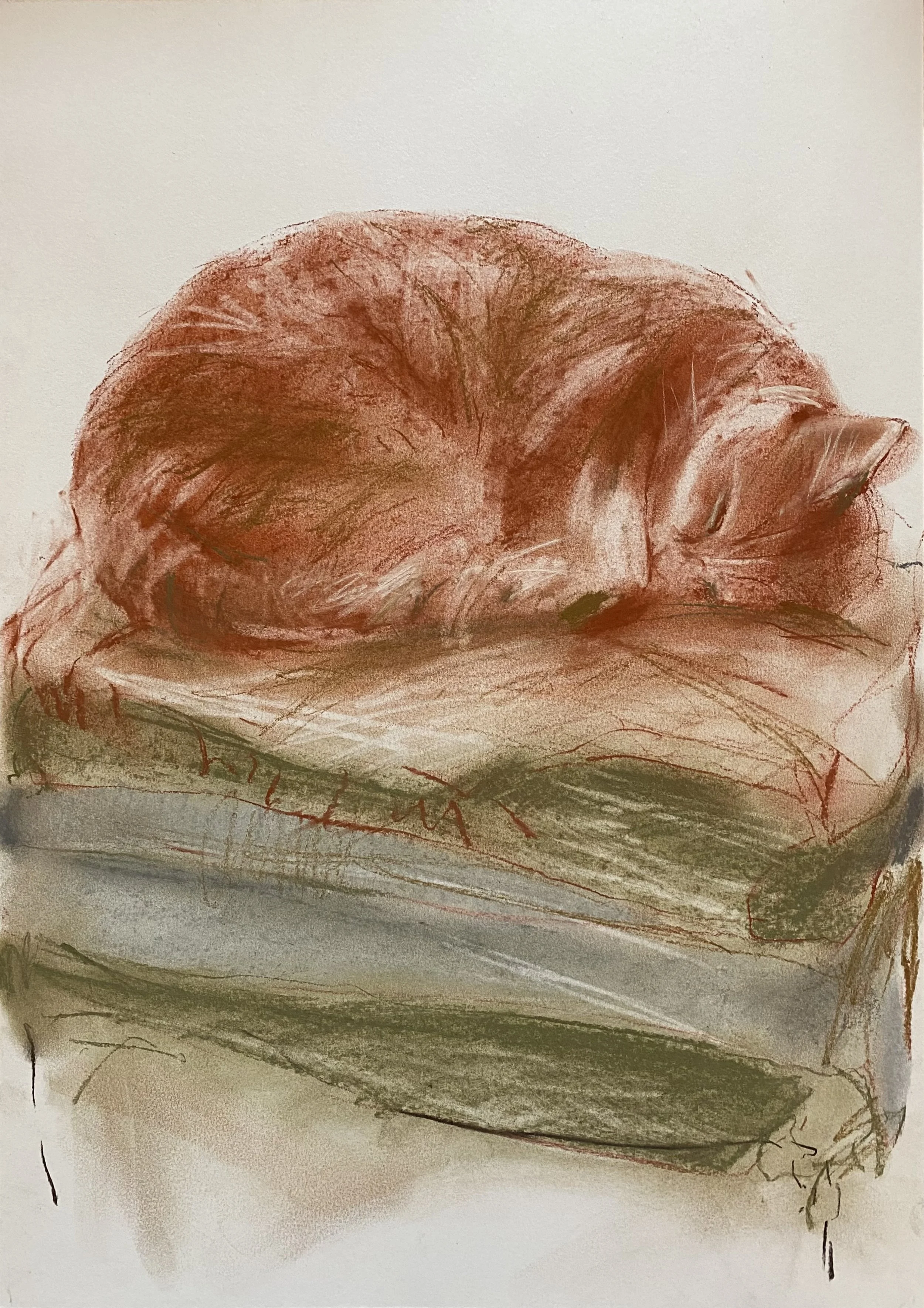 Jenny.
Conte on Paper.
29cm x 42cm,
£375