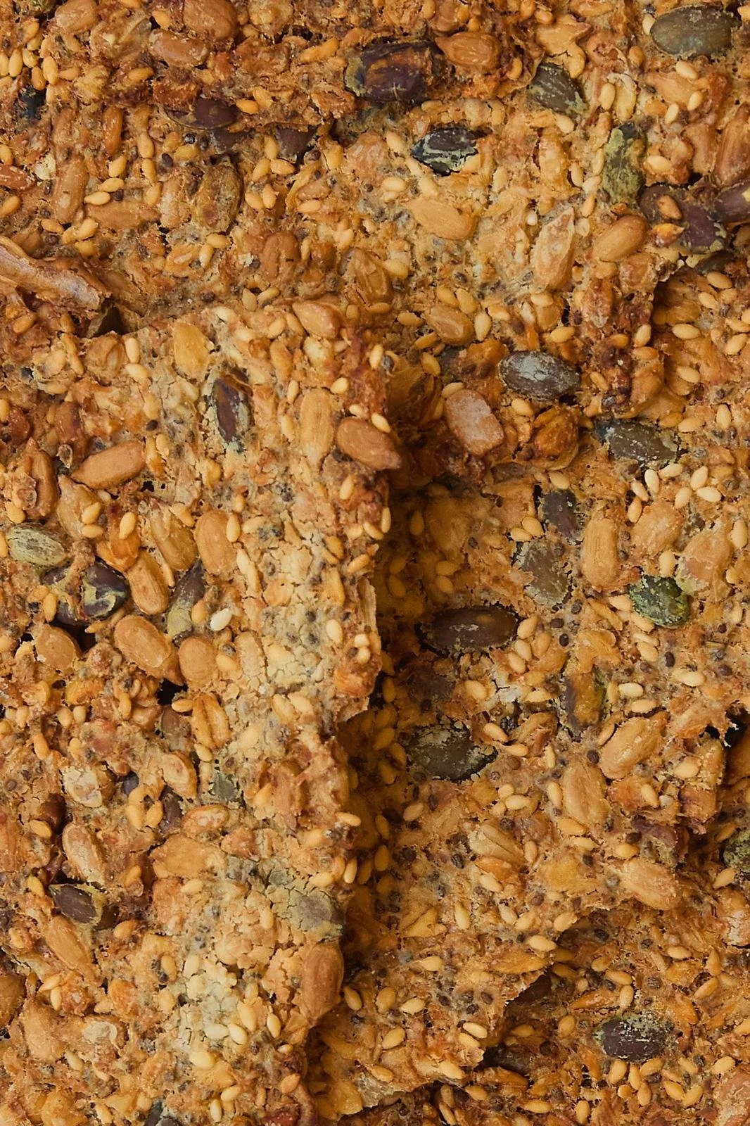 Crackers aux graines torrefiées