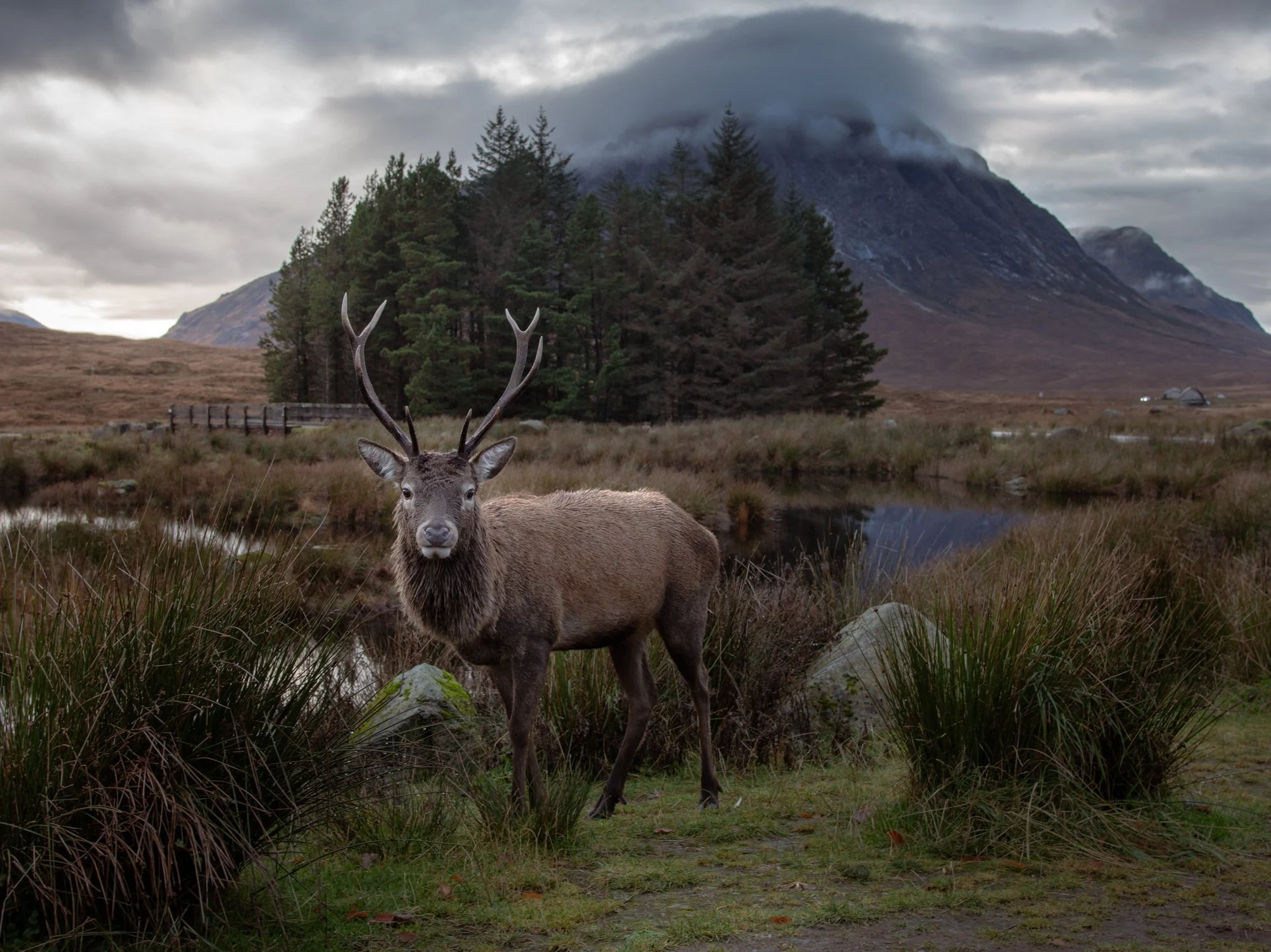 DSC_1934-Enhanced-SR.jpg