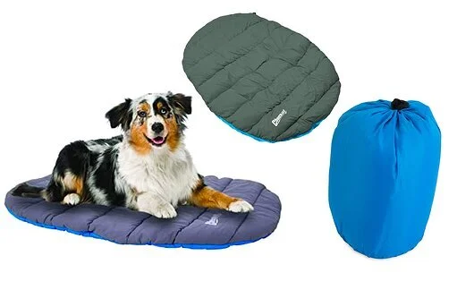 Shoppers Say This Cozy and Compact Travel Dog Bed Is Indestructible — and It's Just $30