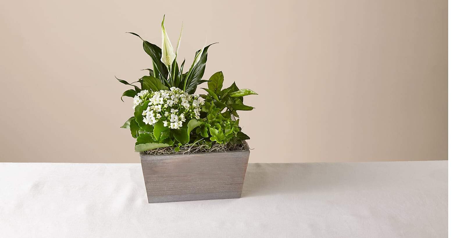 6 Calming Plants That Will Add Some Serenity to Your Home Office