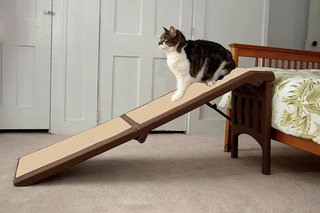 Pet Owners Say This No-Slip Ramp Is a ‘Life Changer' for Senior Animals — and It’s Over 50% Off