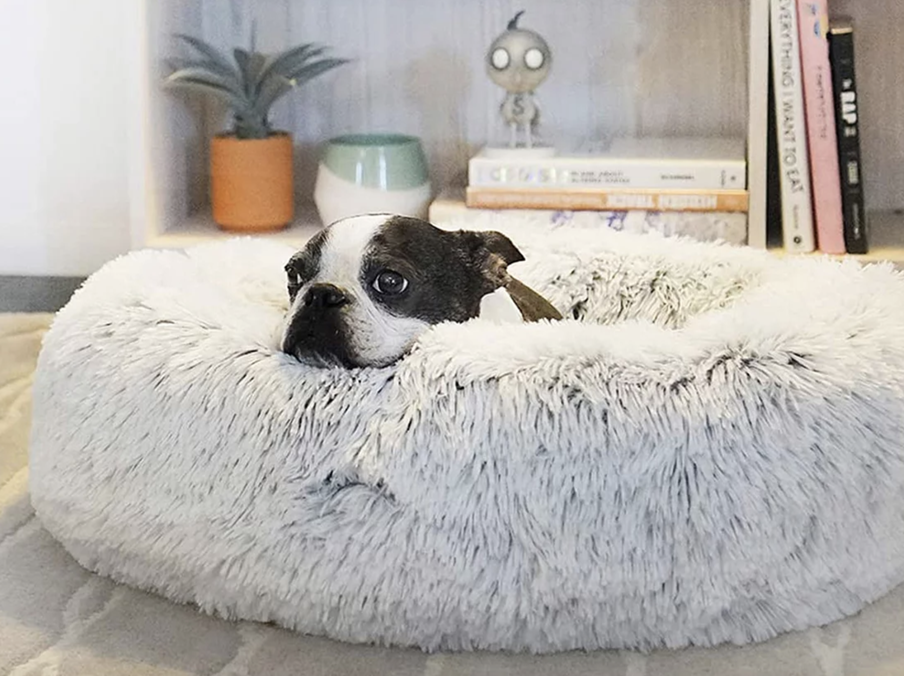 My Dog Finally Sleeps Through the Night Thanks to This Calming Dog Bed With Over 35,000 Ratings