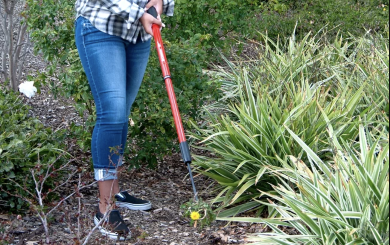 This $17 Extendable Weed Remover Is Made to Save Your Back in the Garden—but It Has Other Clever Uses