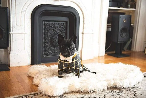 No One But You and Your Pup Will Know This Faux Fur Rug Is Actually a Dog Bed