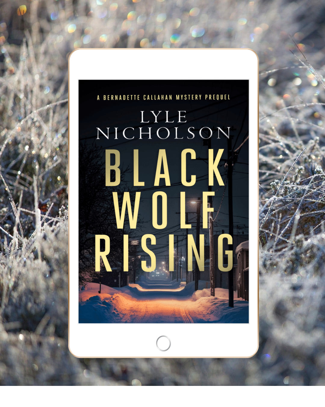 Click on this link to get the Prequel and join my mailing list!