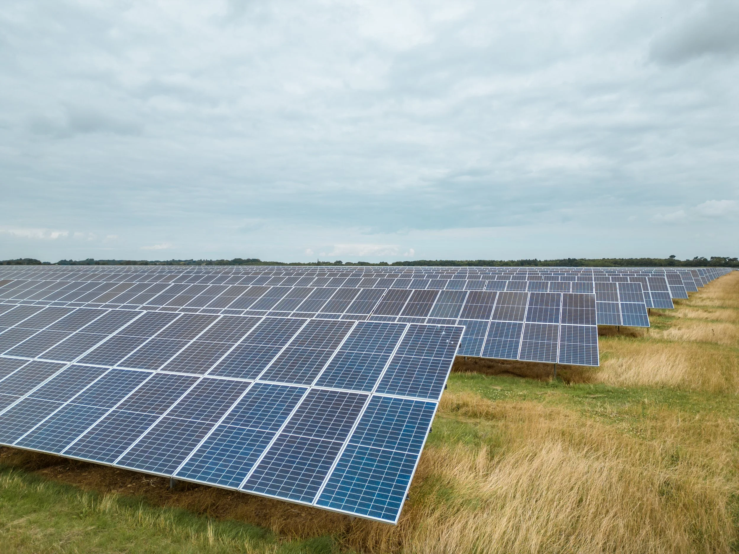 DRO-EMEREN-001 -PIC  (14).JPG