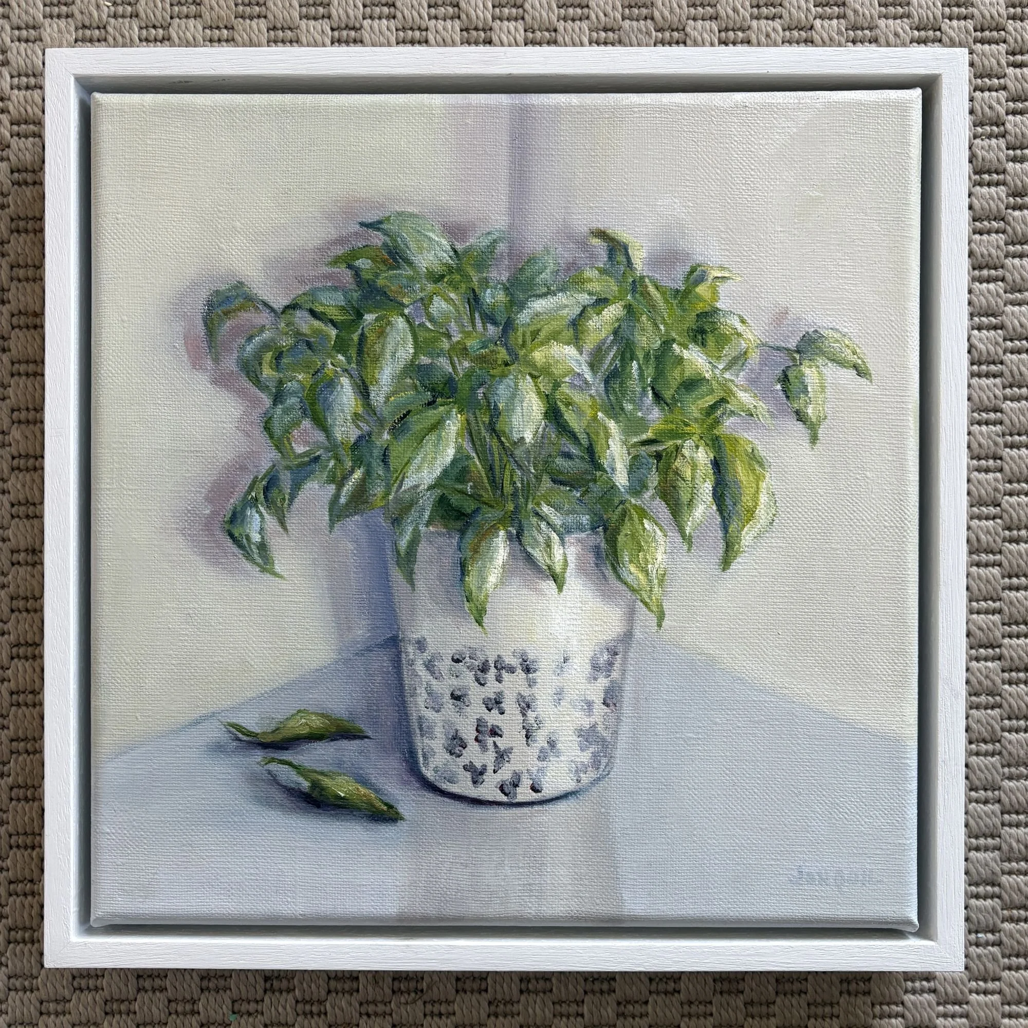Basil plant in a ceramic pot, 34x34cm contemporary realist oil painting on canvas by still life artist Jonquil Williamson.JPG