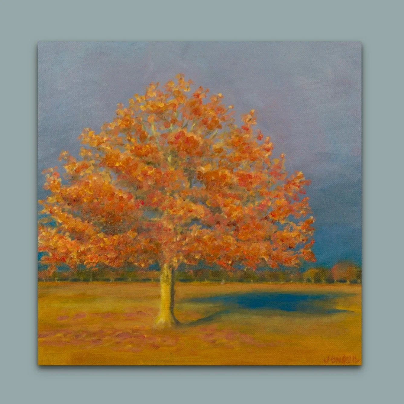 Landscape oil painting of an autumnal tree in Richmond Park by British artist Jonquil Williamson