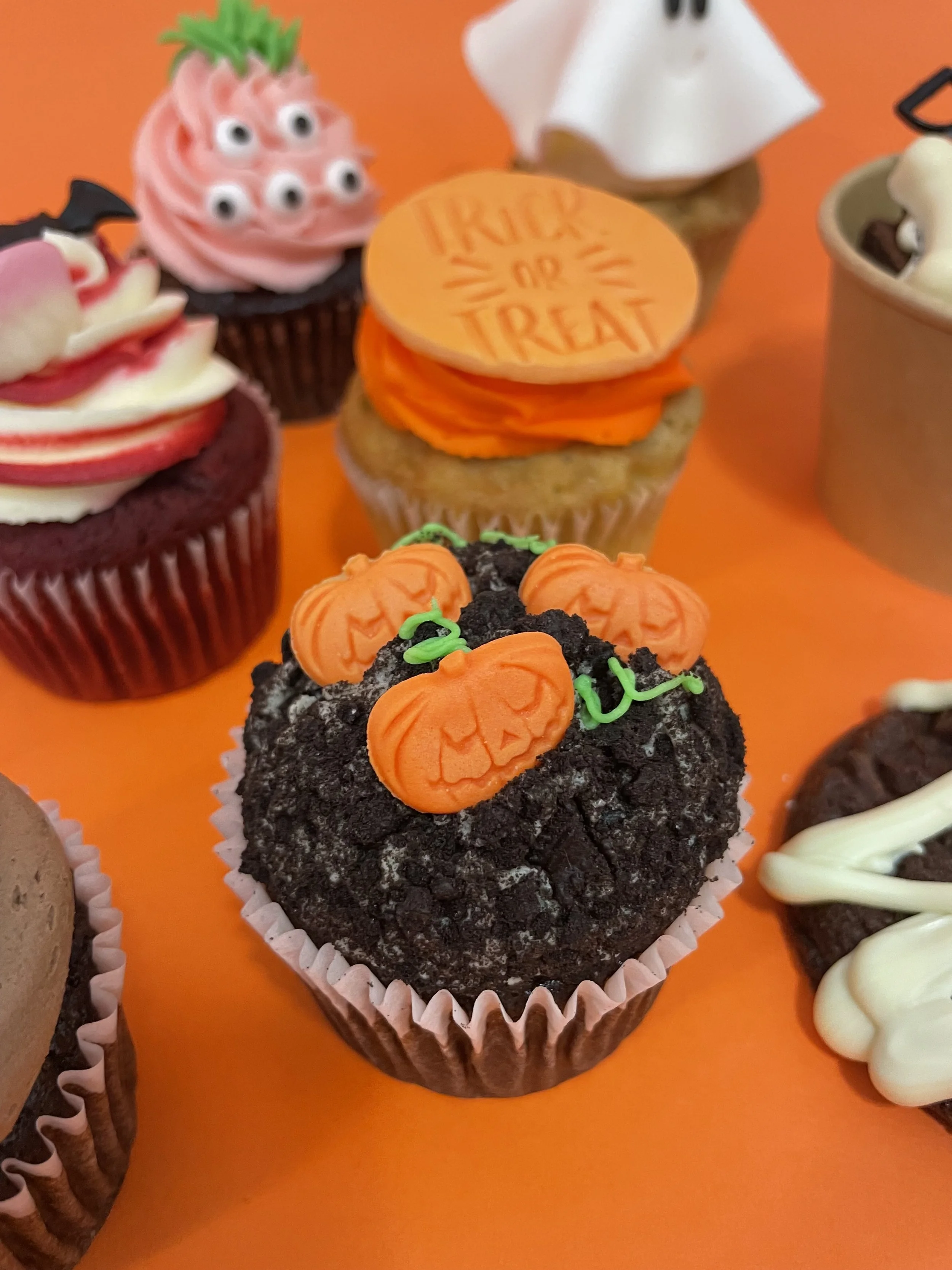 Halloween 2025 Pumpkin Patch.jpeg