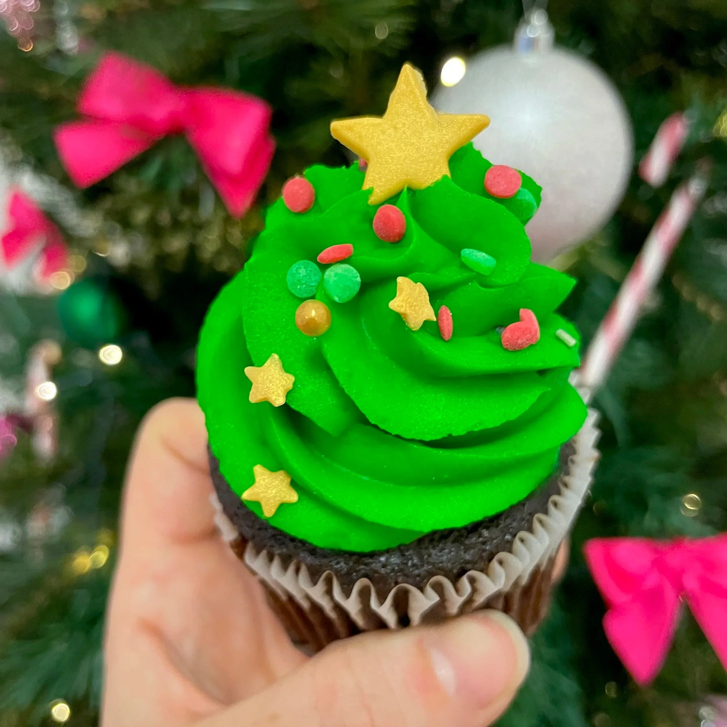 Christmas+Tree+2025.jpg (Copy)