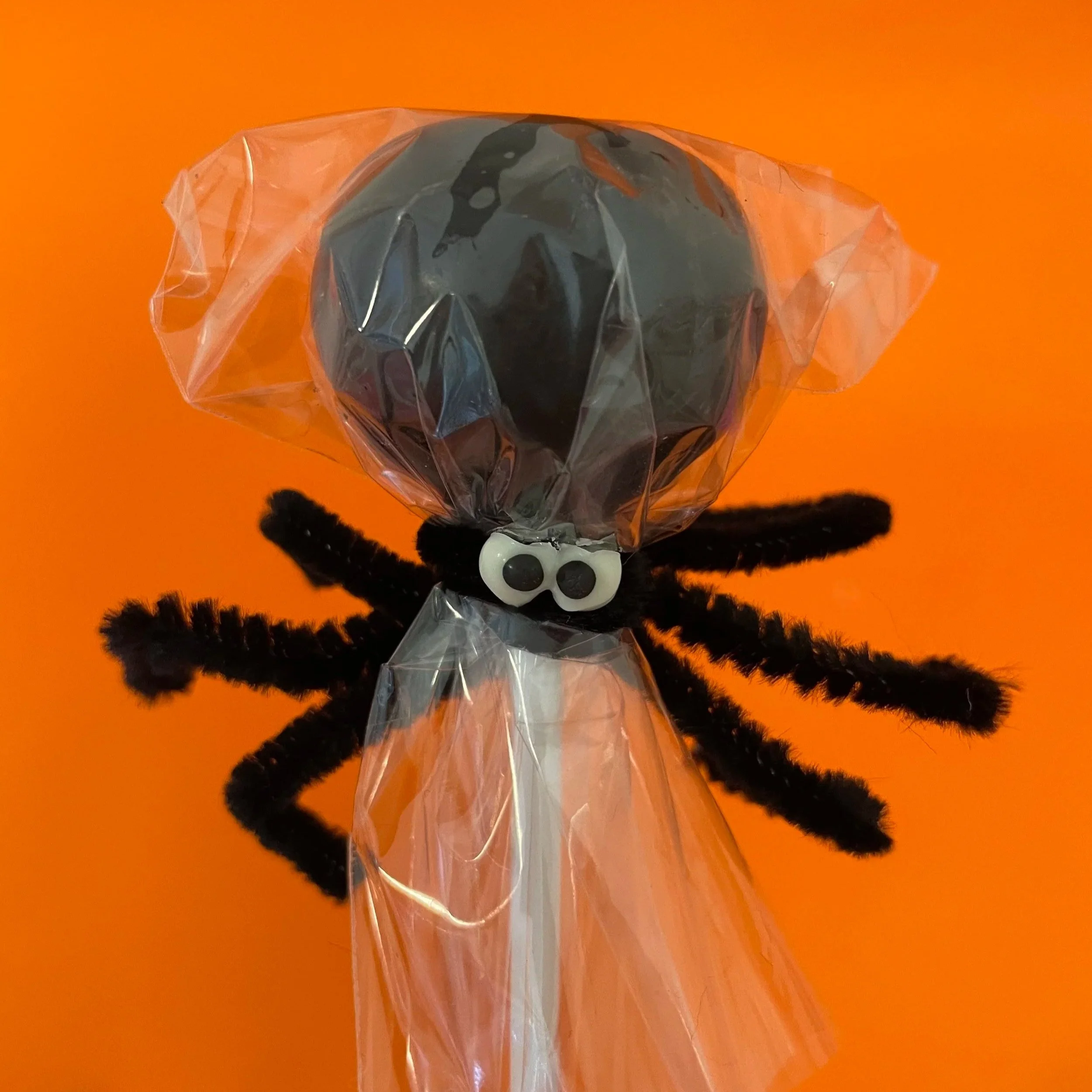 Halloween+2025++Spider+Pop.jpg