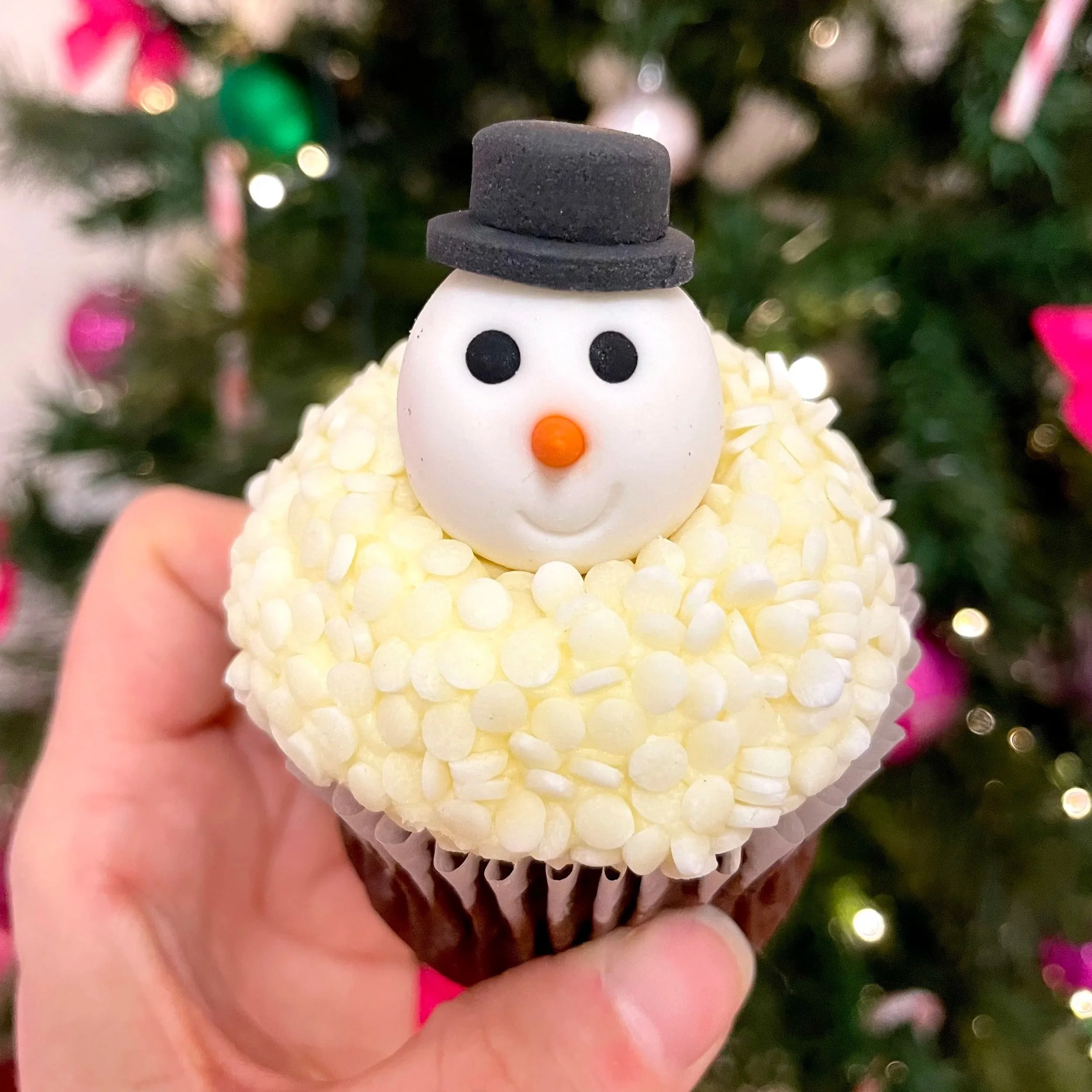 Snowman+2025.jpg (Copy)