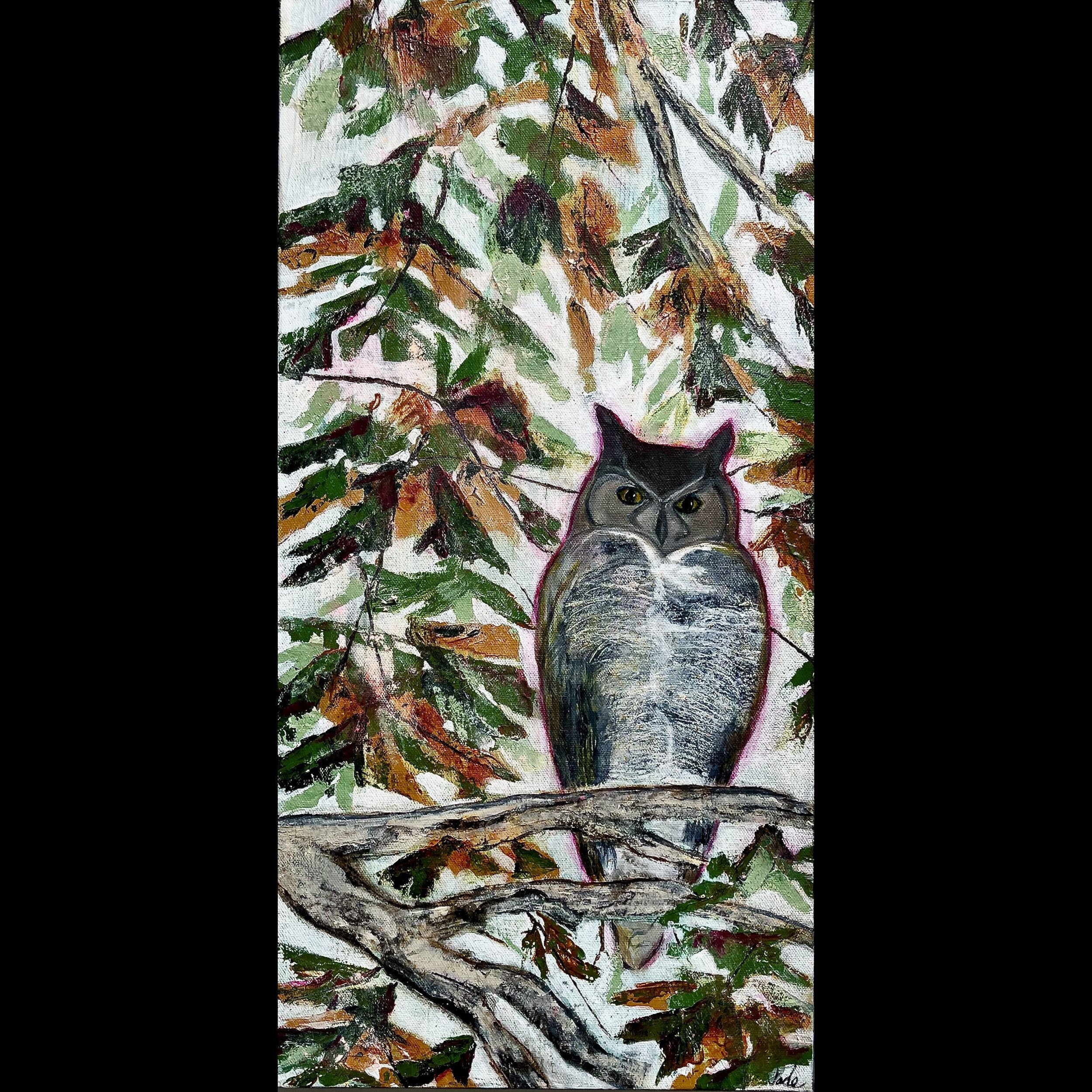 black-Owl.jpeg