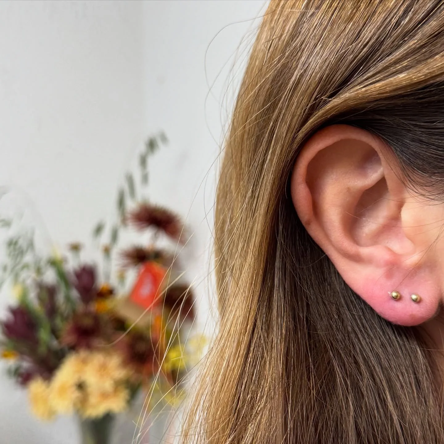 This week&rsquo;s round up! 
-Double lobe
-A whole load of brow waxes and tints (my fave)
-Lamination
-Rook and lobe piercing
-Forward helix
-Nose piercing
-My lil space ✨

#foxstudiobeauty #stalbans #stalbansbusiness #stalbansbeauty