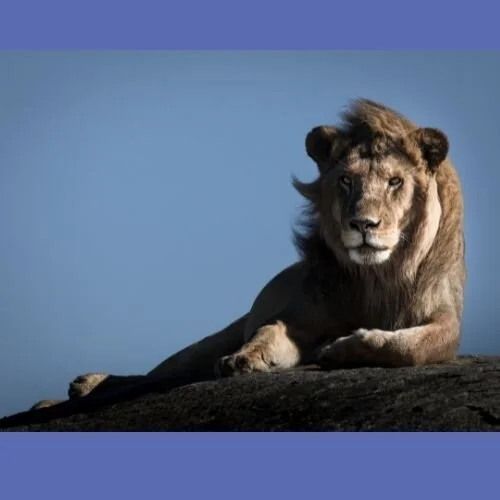 power in relaxation.jpg