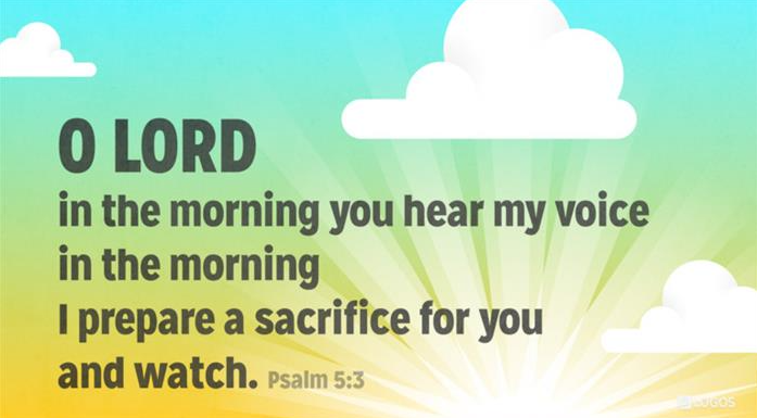 In the Morning