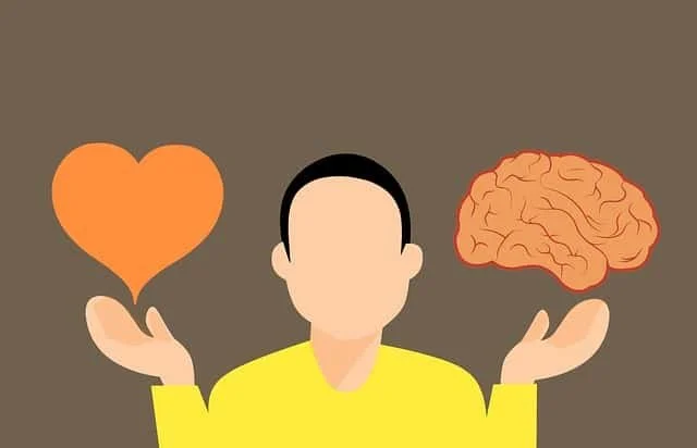 The Science Behind Instincts: How They Develop and Why They Matter