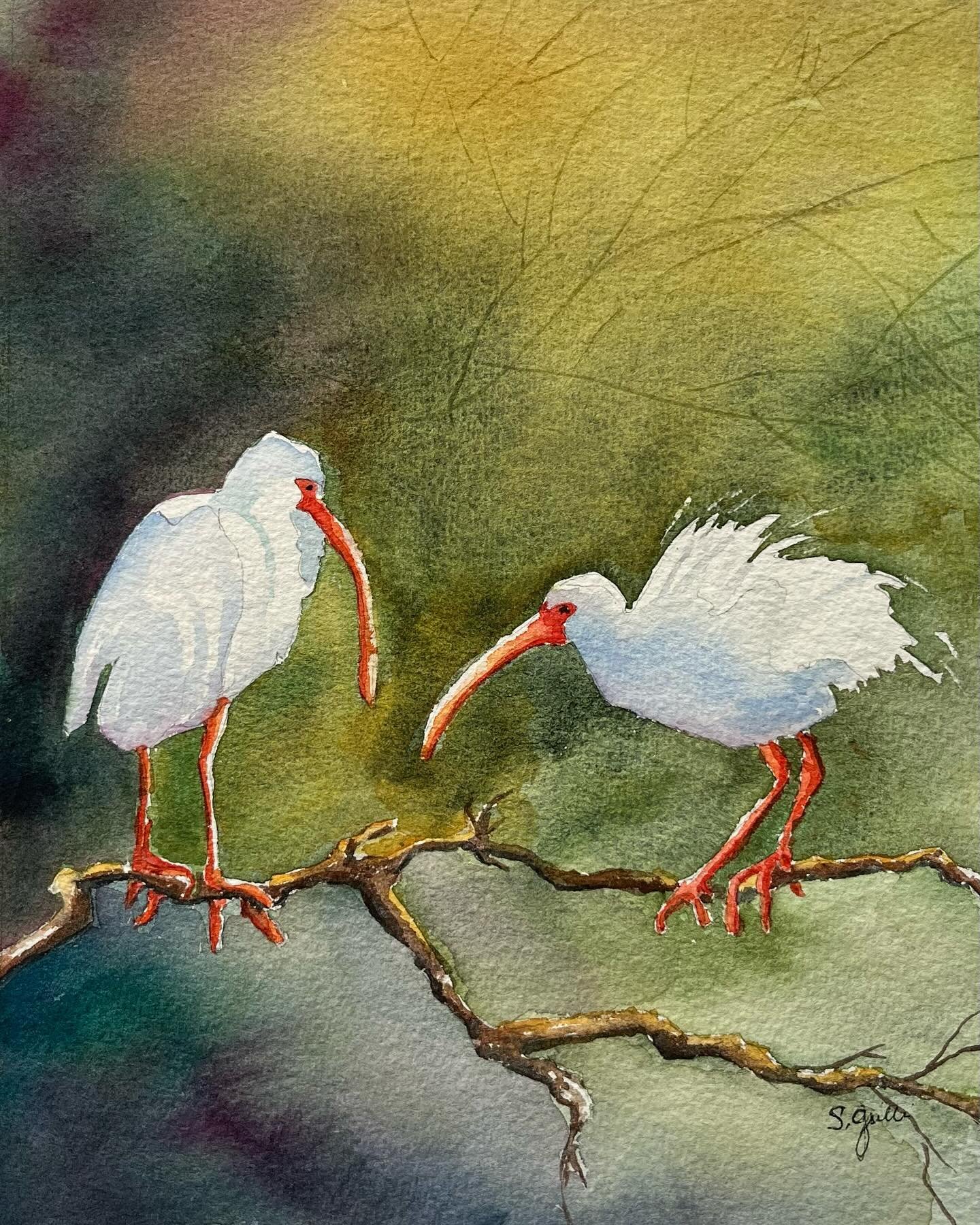 These two birds are flying the coop and heading to La Petite Gallerie today. Watercolor painting 11x14. 
#blufftonarts #blufftonliving #blufftonartsdistrict#shopoldtownbluffton #coastalart #lowcountryliving #blufftonartgalleries
#lapetitegallerie9 #s