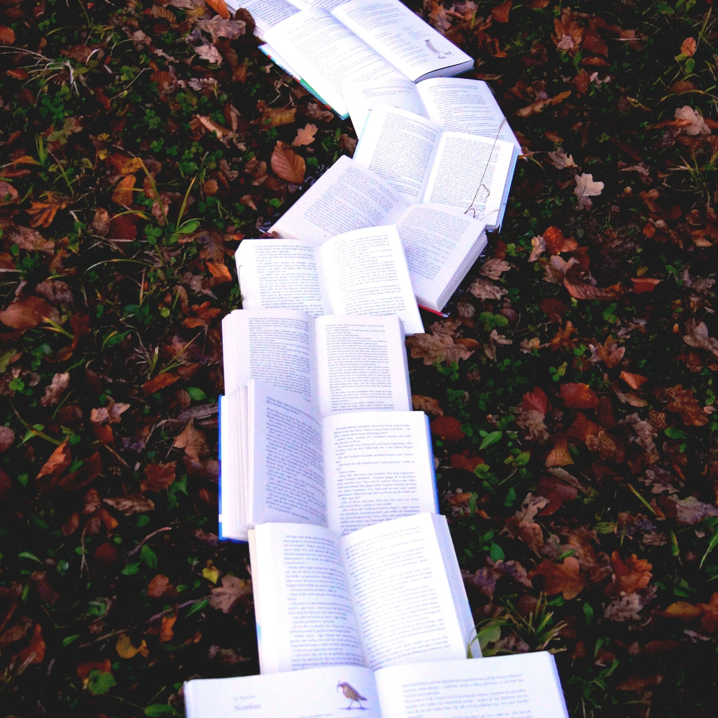 Craft books for self-editing