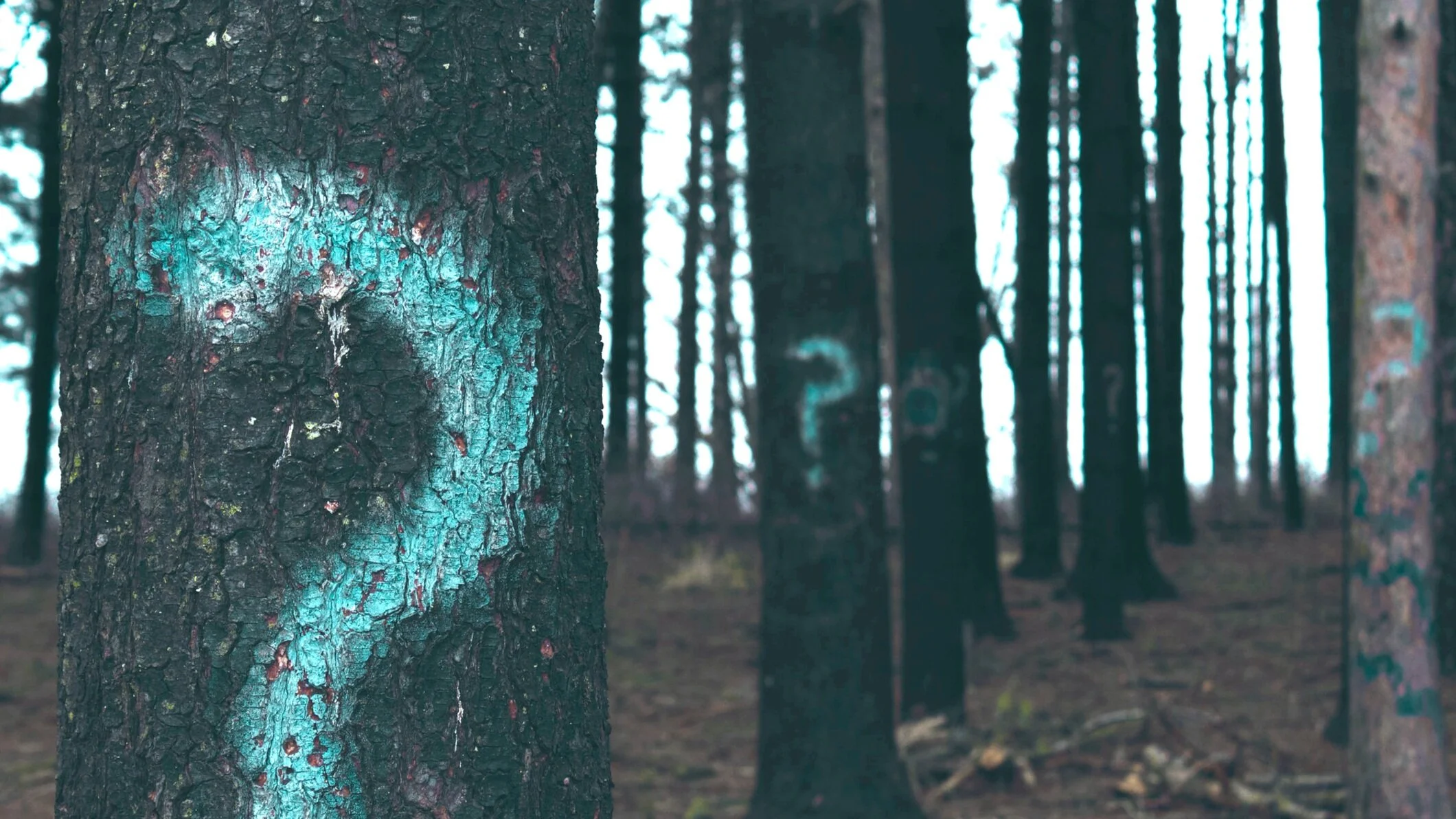 Being mysterious isn't the same as writing good drama.