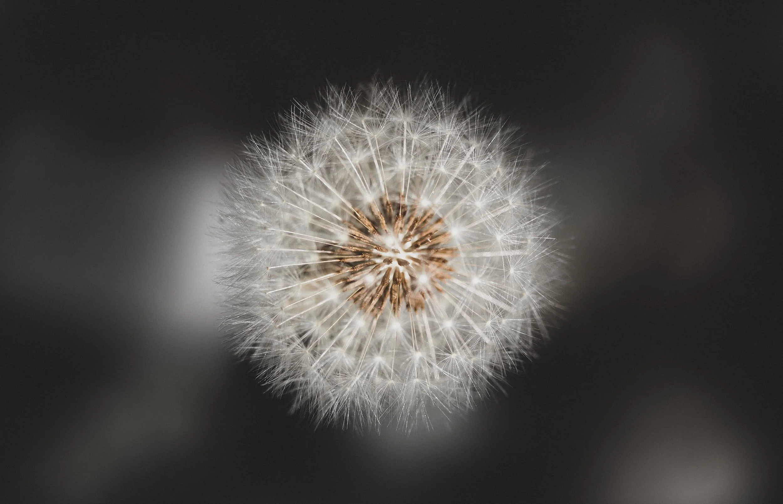 Journey to Publication: On Working with a Sensitivity Reader