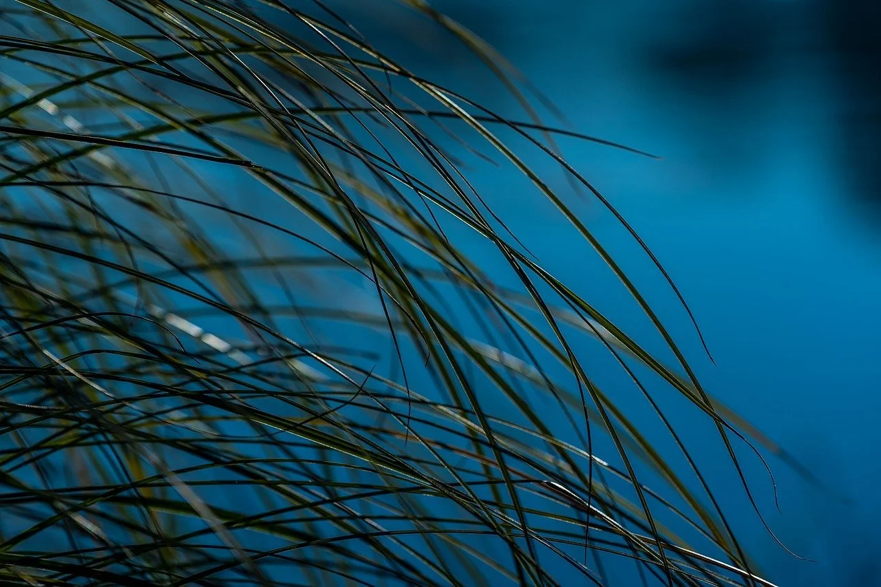 Alles bewegt sich – und trotzdem geht nichts vorangeht