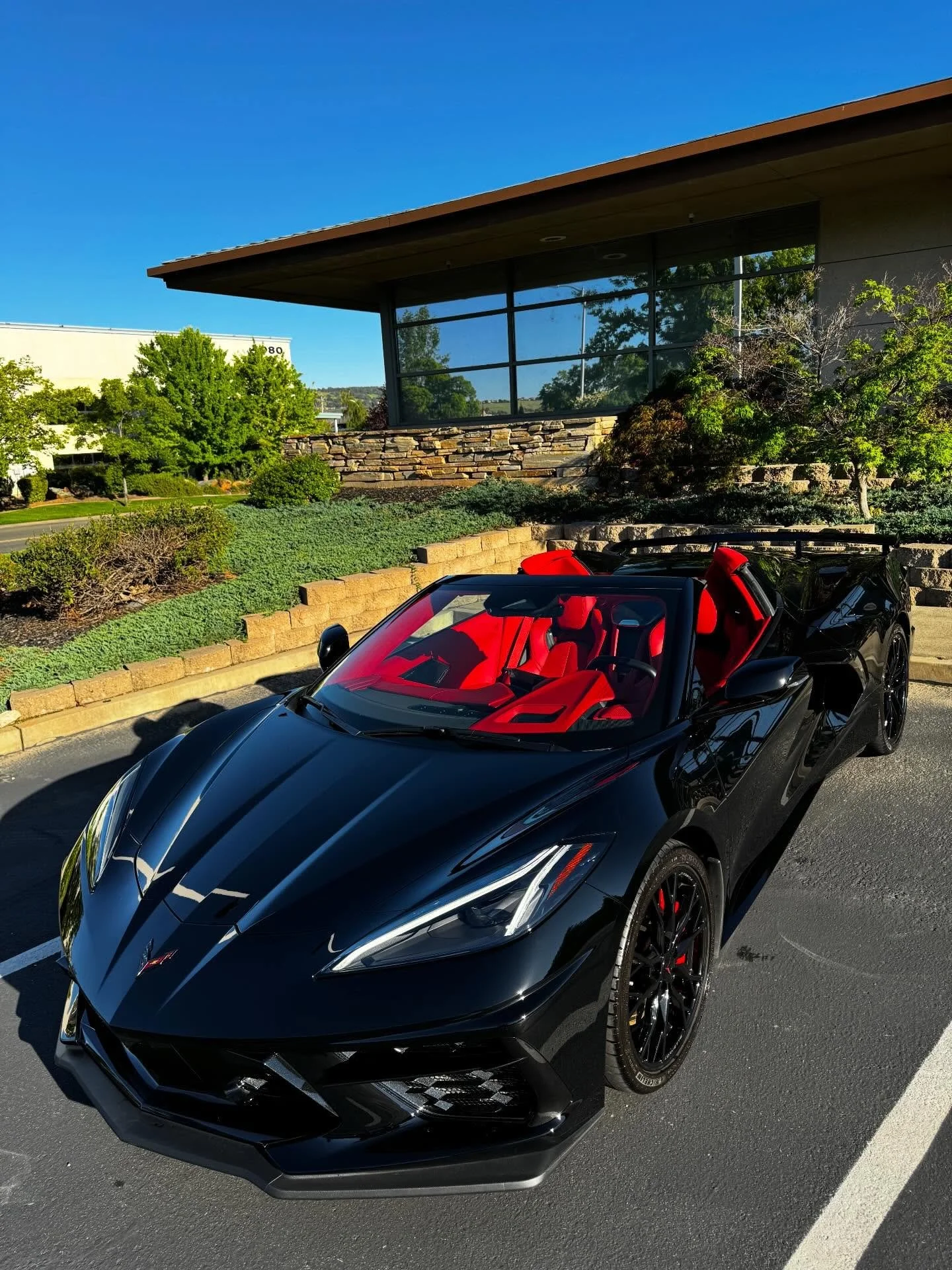 C8 Polished &amp; Protected ✨