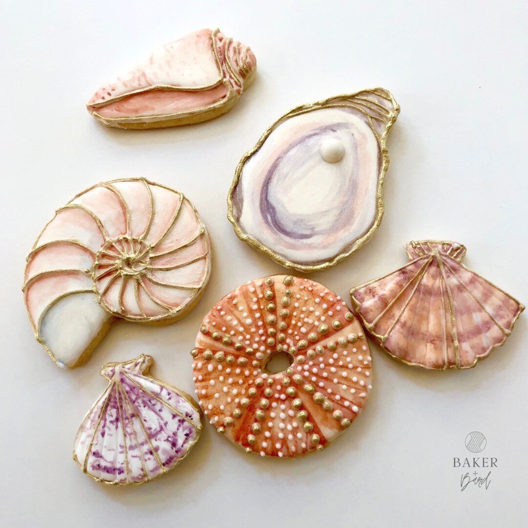 I've been wanting to make oyster shells inspired by the GORGEOUS oysters by @thegingerbites for ages, and here they are. I put my own spin on things just the tiniest bit and decided they needed some buddies. I fear they are the only sea shells I'll b