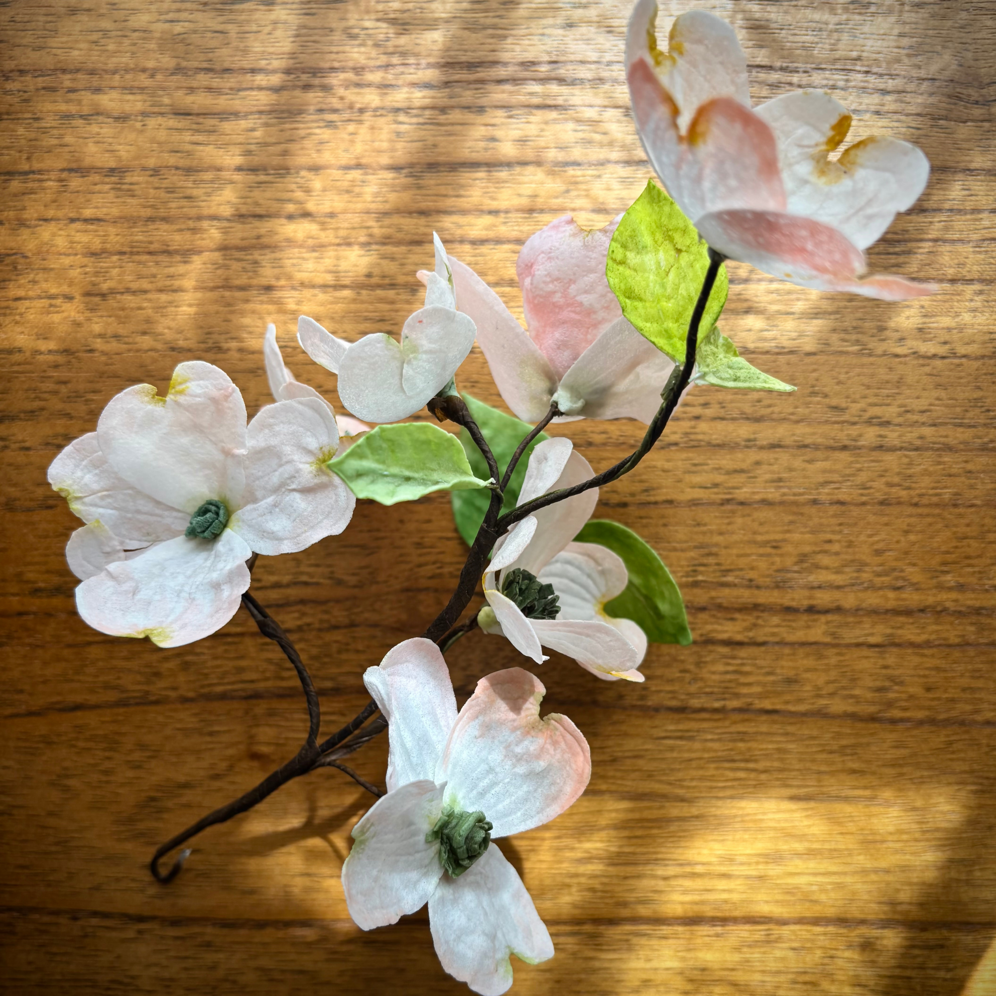 Close+up+flatlay+of+pink+tipped+wafer+paper+dogwood+branch+on+wooden+background.png