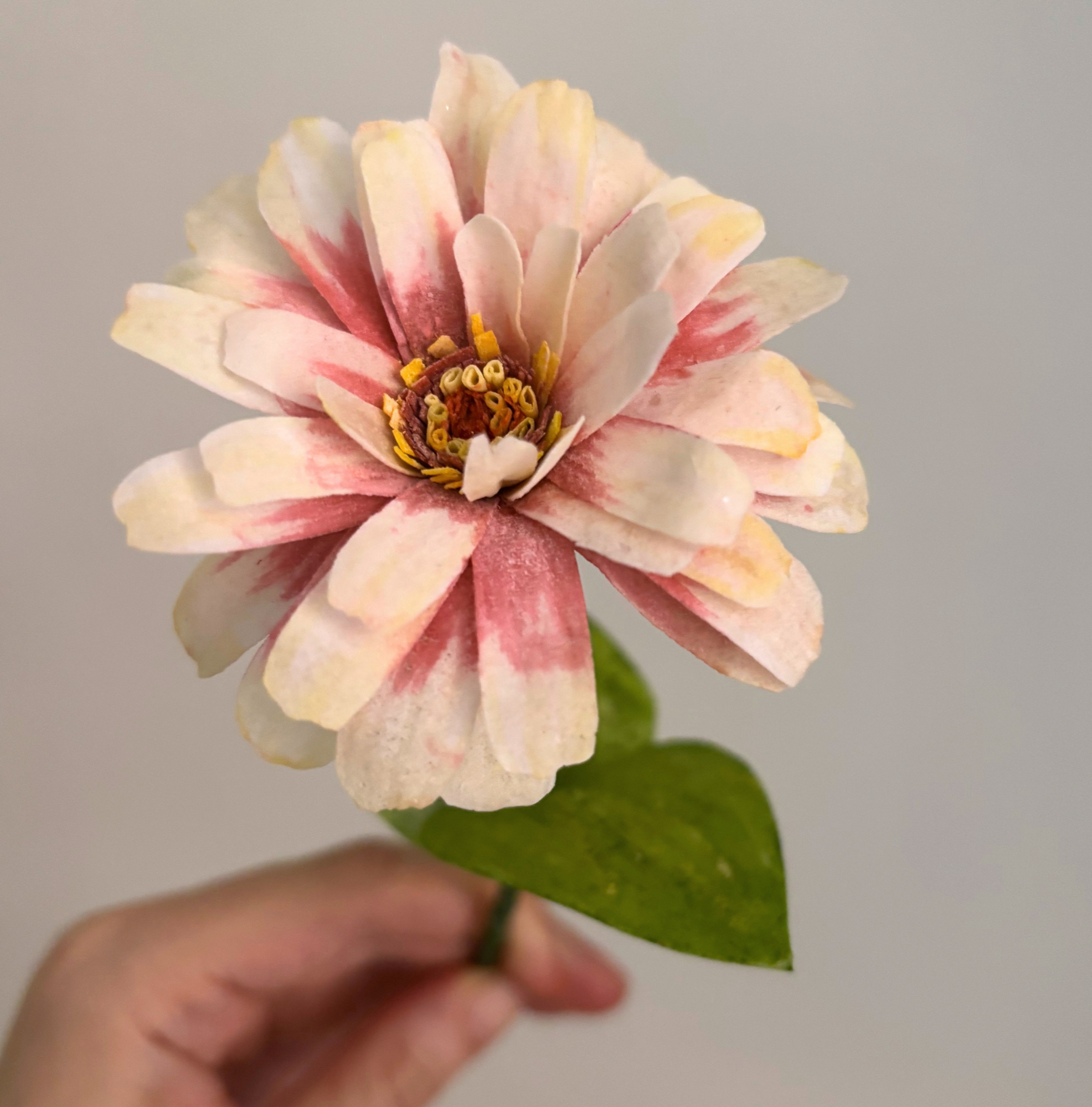 Extreme+cloesup+of+a+pink+and+white+zinnia+flower+made+from+wafer+paper.png