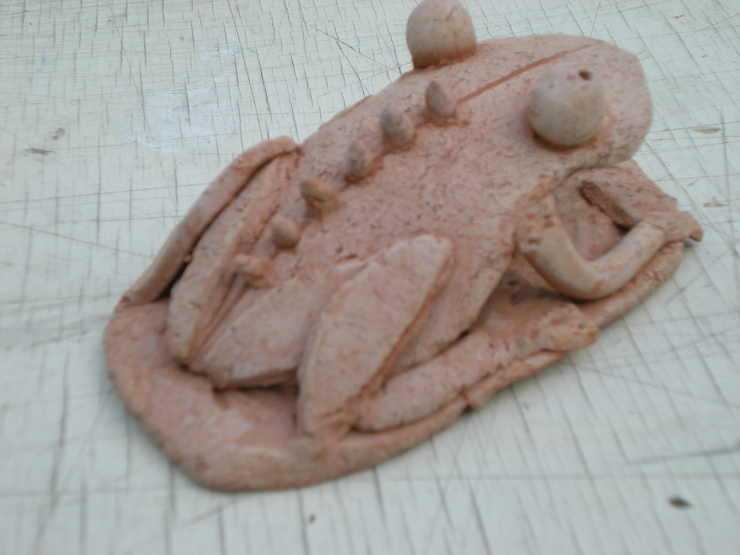  Made for a Frog lover 