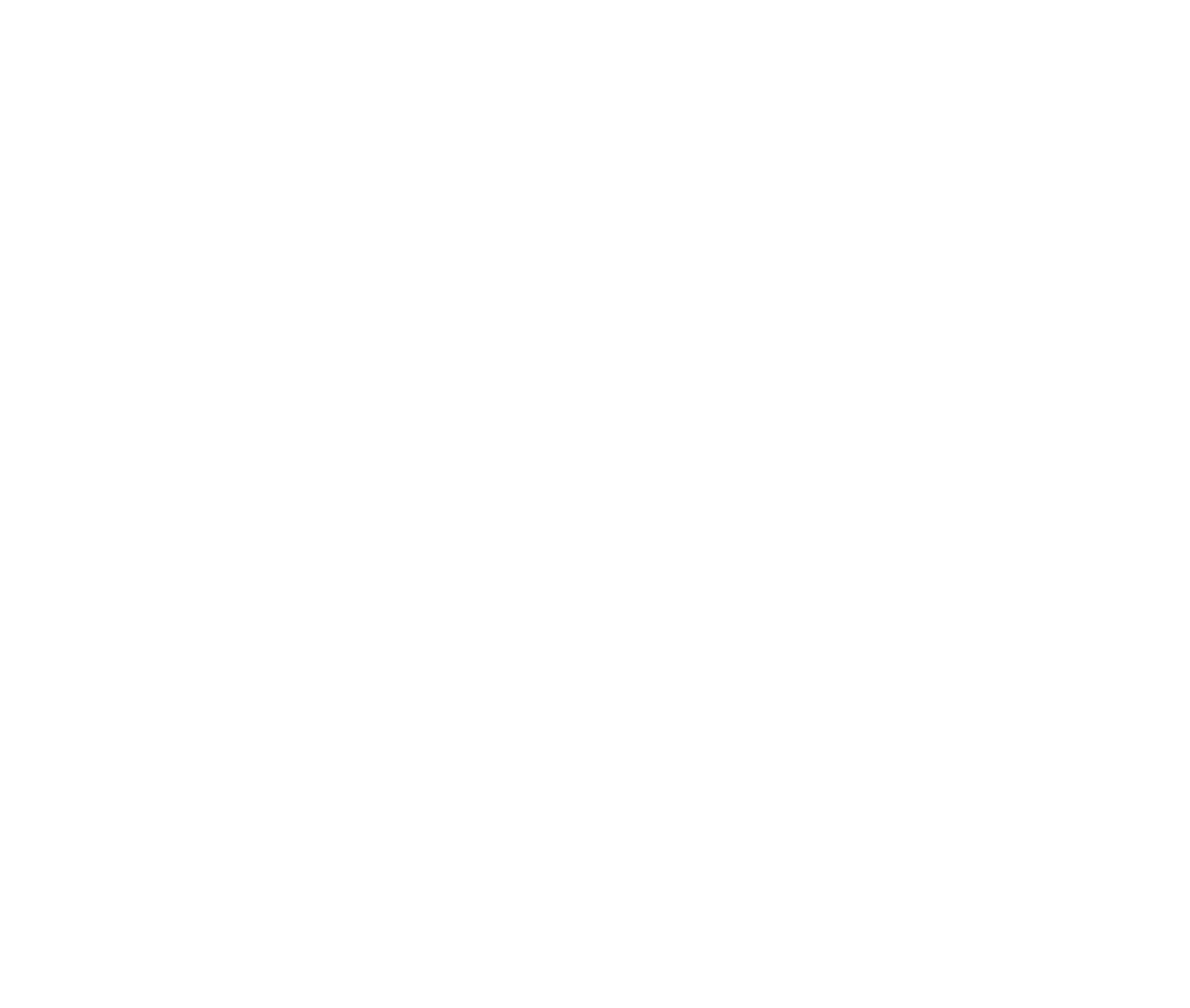 Servicio de meseros