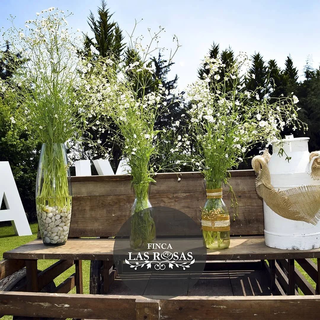 Tu Boda en Tepotzotl&aacute;n | 10% de Descuento

Ven a conocer Finca Las Rosas la nueva opci&oacute;n de Banquetes AlFresco para celebrar tu evento en Tepotzotl&aacute;n. 
Conoce nuestros precios y promociones: https://banquetesalfresco.com/finca-la